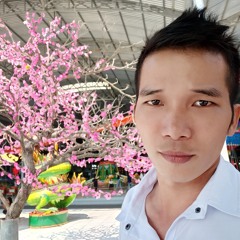Tòng NST vietmix