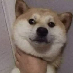 terpegon