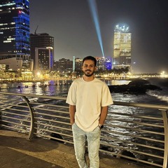 mohamed mekawii