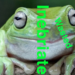 INEBRIATOR(FRYO）