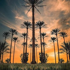 سورة المؤمنون _ احمد السعيد مندور