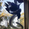 Rex