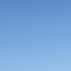 wys