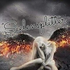 _ZerSplitterteSeeleJM1711_