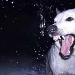 to hear your voice again