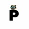 PerritoTraktor's