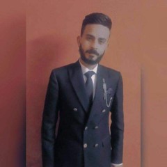 محمد سلامه