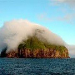 محمدرضا امیری