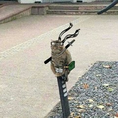 nhuja ninja