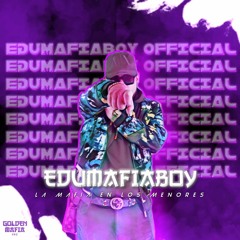 EduMaFiaBoy Official