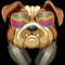 DJ Raydogg