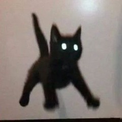 martttiq