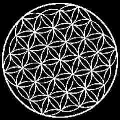 XäM @publicizehim