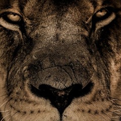 King Uryah Ben Israel