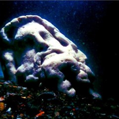 Thomas Louis Bigelow