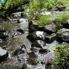 rewsuh12