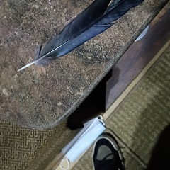 Sånii aka Young Shaman 𓁺