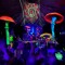 dj psykadelica (dutchacidfamily)