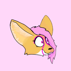 Marci The Fennec