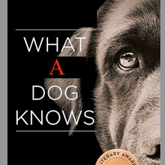ADawgKnow
