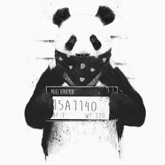 NoOne🐼💤