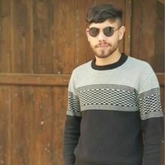 Hani Saeid