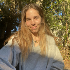 allylevy_