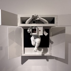 Will Belfor’s Demos