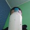 fmmood