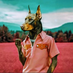 jollydog