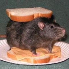 Rat.Trash