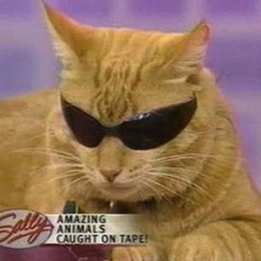 제설 reimx