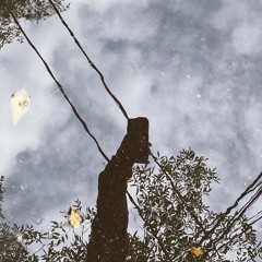OSO_2
