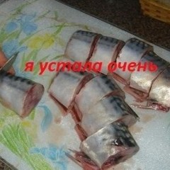 veevimeow_404