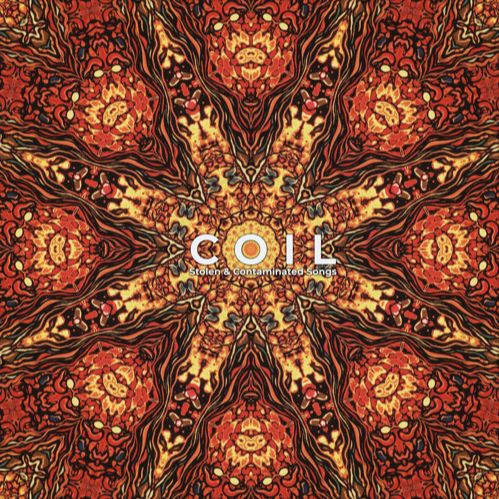 Coil