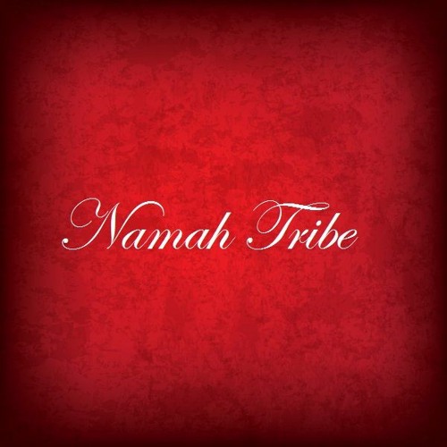 namah tribe’s avatar