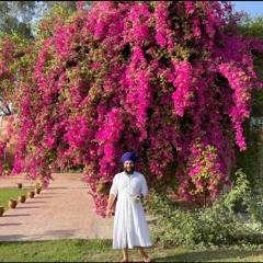 Amarjot singh sangha