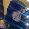 dreamgirl