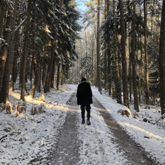Roll mit Roland