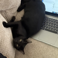 Ulysses esteban Zamora