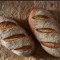 who0isbread