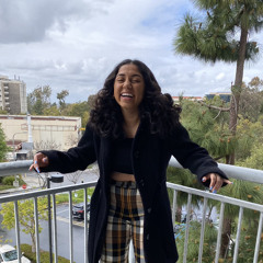 hollywood's bleeding bollywood