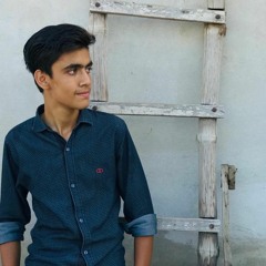 Ibrahim Saqib