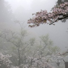 >>type_log_NEWGEN