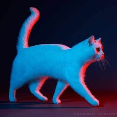 Nick