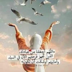 Aml Mustafa