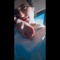 NurhanM.Rizk