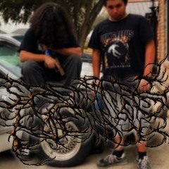 SpontaneousCurettage