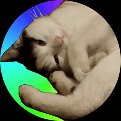 Superbony the Cat
