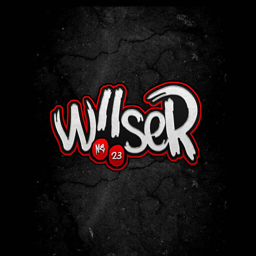 WiiserMC’s avatar